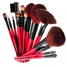 SHANY Professional Cosmetic Brush Set with Pouch, 13 pc